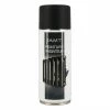 Bombe De Peinture - Noir Mat - Pour Radiateur - Décoration - 330ml - AMT